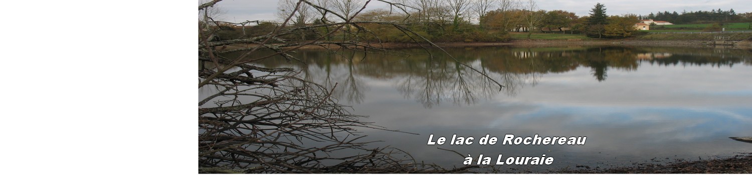 a-lac-rochereau-la-louraie-2